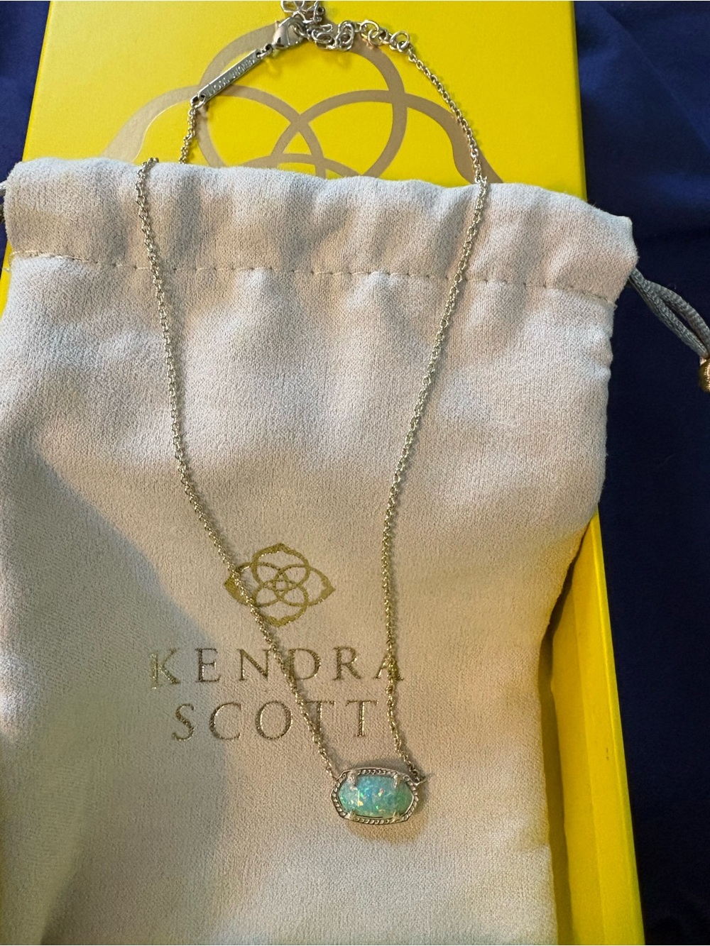 Kendra Scott Silver Opal Elisa Pendant Necklace - rare light blue opal Stone